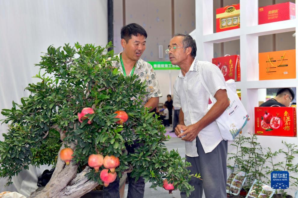 博越娱乐平台登录地址